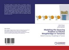 Modeling the Queuing Problem in Kibaha Weighbridge in Tanzania kitap kapağı