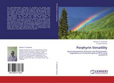 Porphyrin Versatility kitap kapağı