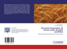 Buchcover von Character Association of wheat under drought condition