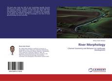Buchcover von River Morphology