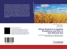 Wheat Response to Applied Phosphorus and Zinc in Salt-Affected Soil kitap kapağı