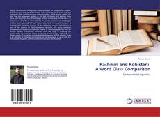 Bookcover of Kashmiri and Kohistani   A Word Class Comparison