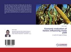 Обложка Economic evaluation of factors influencing maize yield