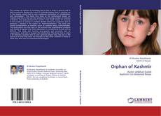Bookcover of Orphan of Kashmir
