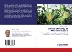 Portada del libro de Technical Efficiency of Maize Production