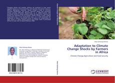 Couverture de Adaptation to Climate Change Shocks by Farmers in Africa