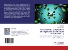 Buchcover von Molecular characterization of Sugarcane (Saccharrum officinarum L.)