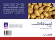 Callus Induction and Evaluation of Somaclones in Potato kitap kapağı