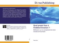 Quel projet face à l'indétermination ? kitap kapağı