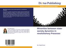 Copertina di Minorities between state-society dynamics in revolutionary Processes