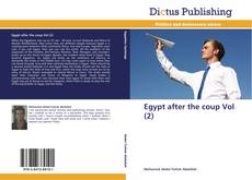 Egypt after the coup Vol (2) kitap kapağı