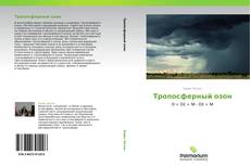 Buchcover von Тропосферный озон