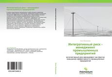 Capa do livro de Интегративный риск - менеджмент промышленных предприятий 