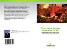 Capa do livro de Воздушные фурмы доменных печей 