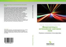 Bookcover of Микрочастица в интенсивном световом поле