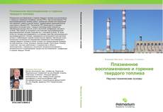 Bookcover of Плазменное воспламенение и горение твердого топлива