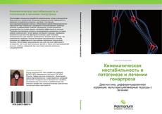 Bookcover of Кинематическая нестабильность в патогенезе и лечении гонартроза