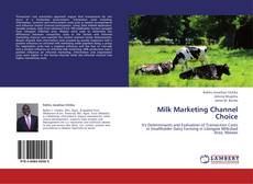 Milk Marketing Channel Choice kitap kapağı