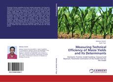 Bookcover of Measuring Technical Efficiency of Maize Yields and Its Determinants