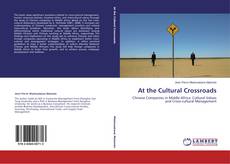 Buchcover von At the Cultural Crossroads
