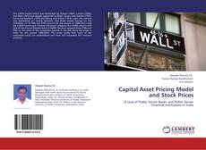 Buchcover von Capital Asset Pricing Model and Stock Prices