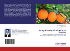 Capa do livro de Fungi Associated with Citrus Decline 