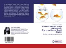 Somali Refugees in the Netherlands:  The evolution of Social Capital kitap kapağı