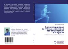 Buchcover von Антиоксидантная система семенников при физических нагрузках
