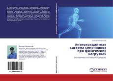 Portada del libro de Антиоксидантная система семенников при физических нагрузках