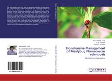 Capa do livro de Bio-intensive Management of Mealybug Phenacoccus solenopsis 