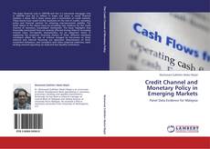 Bookcover of Credit Channel and Monetary Policy in Emerging Markets
