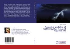 Portada del libro de Numerical Modeling of Lightning, Blue Jets, and Gigantic Jets
