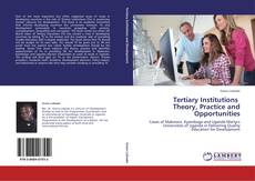 Tertiary Institutions   Theory, Practice and Opportunities的封面