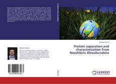 Bookcover of Protein separation and characterization from Neochloris Oleoabundans