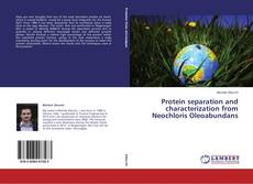Buchcover von Protein separation and characterization from Neochloris Oleoabundans