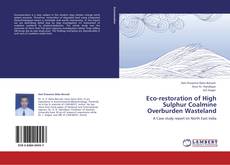 Bookcover of Eco-restoration of High Sulphur Coalmine Overburden Wasteland