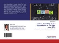 Portada del libro de Copula modeling of tail dependence in the BRIC countries