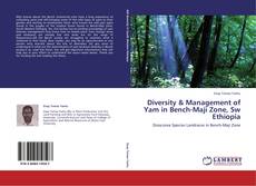 Copertina di Diversity & Management of Yam in Bench-Maji Zone, Sw Ethiopia