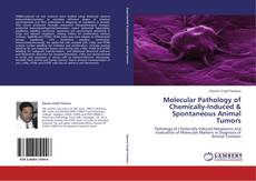 Molecular Pathology of Chemically-Induced & Spontaneous Animal Tumors kitap kapağı