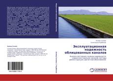 Capa do livro de Эксплуатационная надежность облицованных каналов 