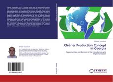 Bookcover of Cleaner Production Concept in Georgia