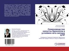 Bookcover of Семеноводство капусты брокколи в условиях юго-запада ЦЧР