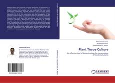 Couverture de Plant Tissue Culture