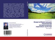 Bookcover of Энергосберегающие технологии возделывания зерновых культур