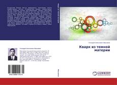 Buchcover von Кварк из темной материи