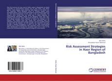 Capa do livro de Risk Assessment Strategies in Haor Region of Bangladesh 