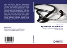 Bookcover of Трудовой потенциал