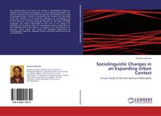 Bookcover of Sociolinguistic Changes in an Expanding Urban Context