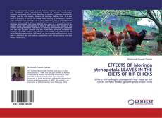 Couverture de EFFECTS OF Moringa stenopetala LEAVES IN THE DIETS OF RIR CHICKS