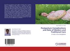 Postpartum Complications and Role of Modern and Traditional Care的封面